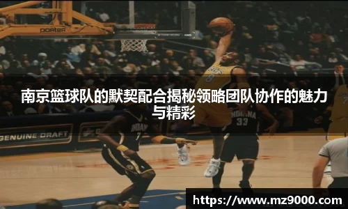 南京篮球队的默契配合揭秘领略团队协作的魅力与精彩